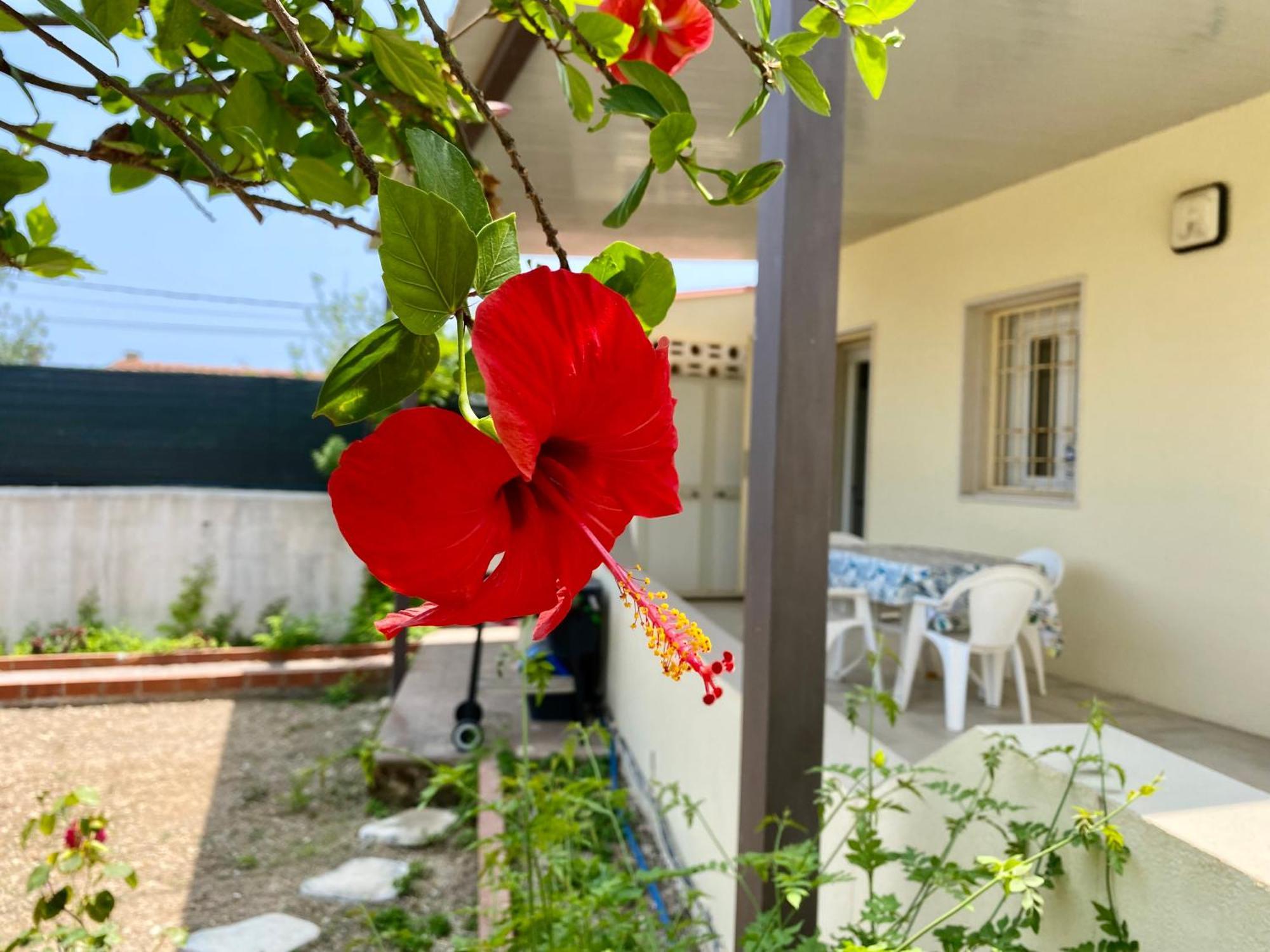 Viviholiday Calabernardo Exterior photo